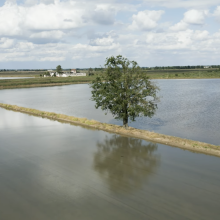 Il docu-film DISSTE UPO al Matera Film Festival