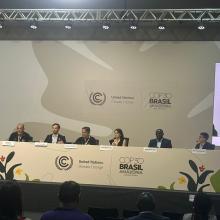 UPO a COP30 BRASIL