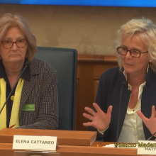 CS Giulio Regeni Senato