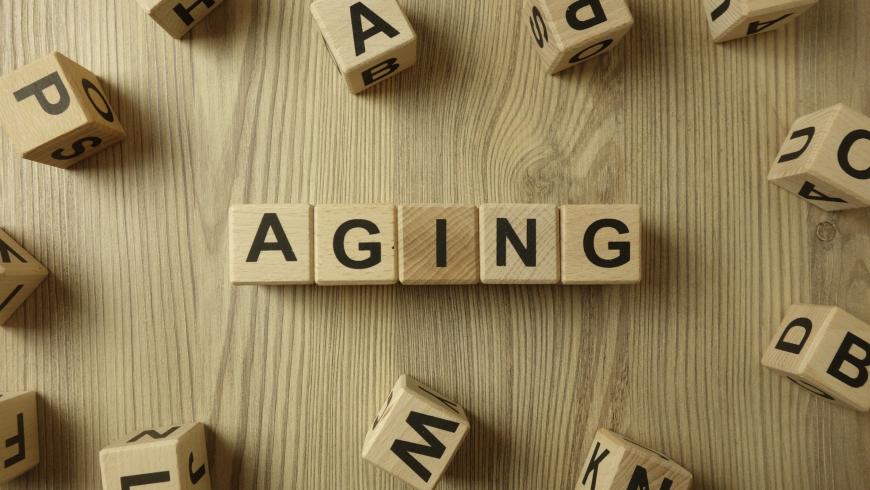 La ricerca sull'Aging: prospettive a confronto