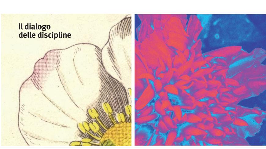 Cover Extracampus 6/25