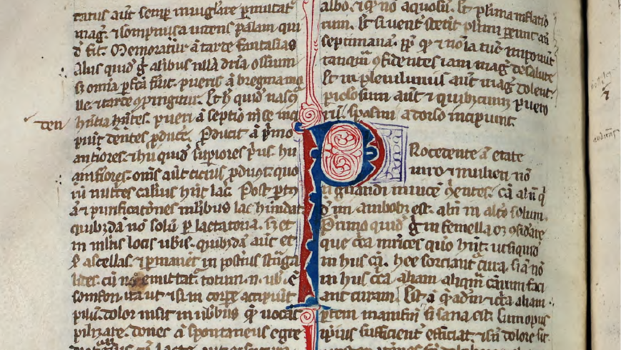 Un'immagine del manoscritto