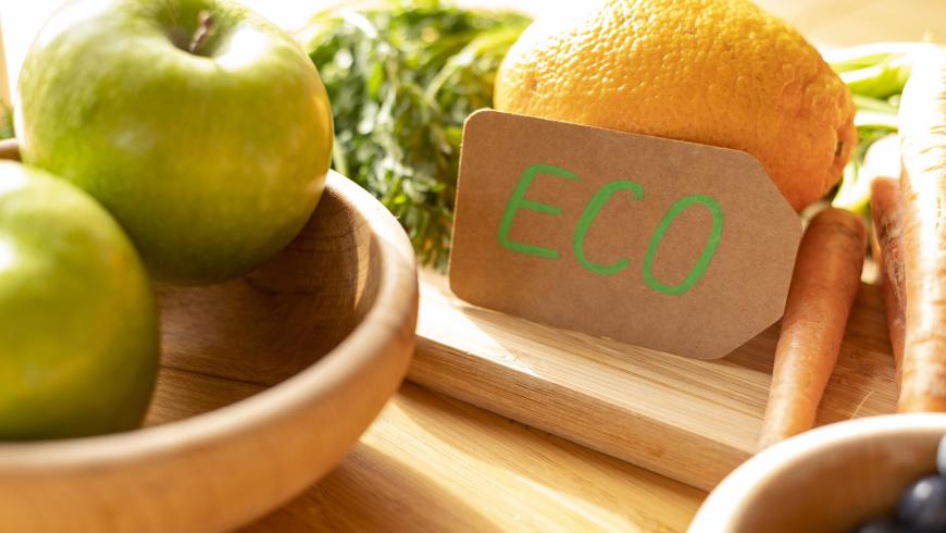 Agri-Food and Environmental Ethics: Current Issues and Perspectives